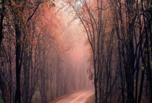 意大利联赛热度高涨，AC米兰迎战卫冕冠军